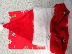 Accessoires chien-chat