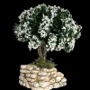 Arbre blanc