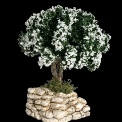 Arbre blanc
