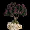 Arbre lilas