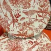 Assiettes anciennes plastiques