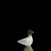 Canard