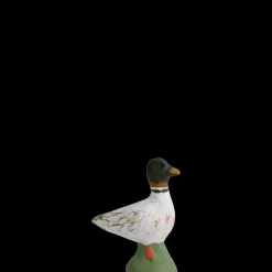 Canard
