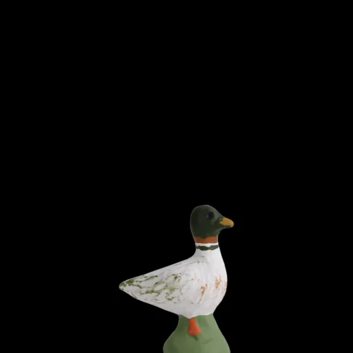 Canard