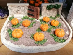 Champ de courges