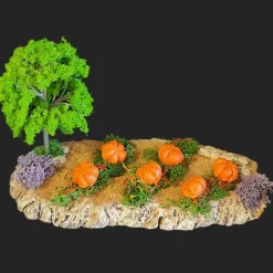 Champ de courges