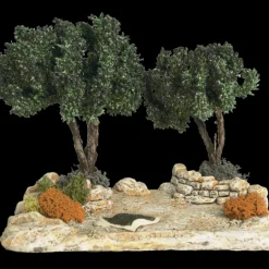 Champ d&rsquo;oliviers