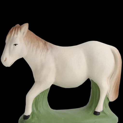 Cheval de Camargue