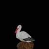 Cigogne