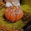 Citrouille de Noel