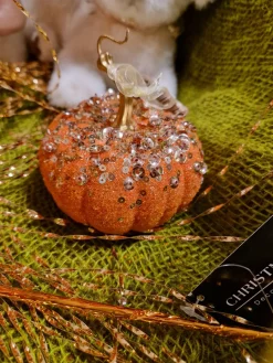 Citrouille de Noel