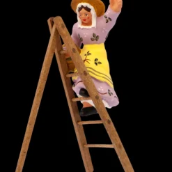 Cueilleuse d&rsquo;olives à l&rsquo;échelle