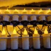 Guirlande lumineuse bougies