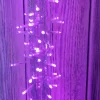 Jeu de lumières rose