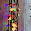 Jeu de Lumières Vintage 18M
