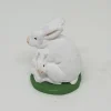Lapin et laperaux blancs