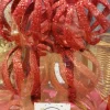 lot 6 boules rouge incassable