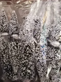 Lot de sapins enneigés