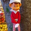 Lutin farceur Oliboo