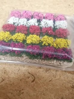 Parterres de fleurs