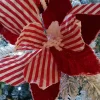Poinsettia Rouge et blanc