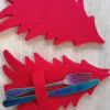 Porte couvert de Noel