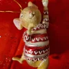 Souris acrobate